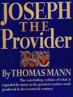 joseph the provider book cover image