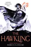 The Hawkling synopsis, comments