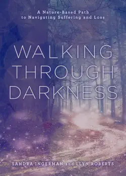 walking through darkness book cover image