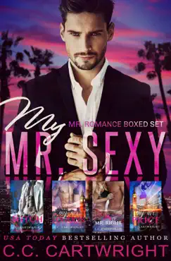 my mr. sexy book cover image