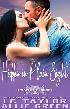 hidden in plain sight book cover image