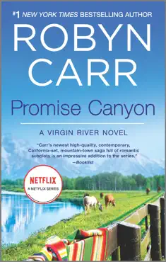 promise canyon book cover image