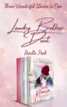 Landry Brothers Book Bundle synopsis, comments