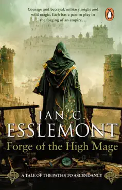 forge of the high mage imagen de la portada del libro