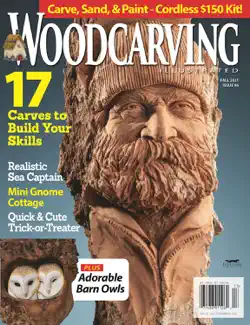 woodcarving illustrated issue 96 fall 2021 book cover image