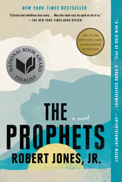 the prophets book cover image