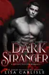 Dark Stranger synopsis, comments
