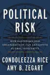 Political Risk synopsis, comments