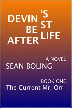 devin's best afterlife book cover image