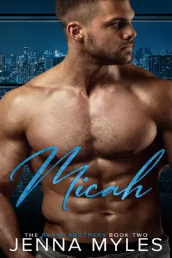 micah book cover image