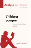 L’hibiscus pourpre de Chimamanda Ngozi Adichie (Analyse de l'œuvre) sinopsis y comentarios
