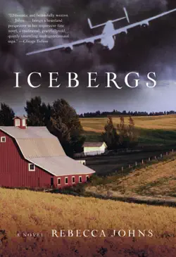 icebergs book cover image