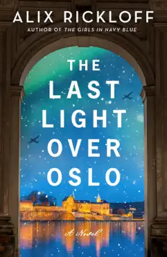 the last light over oslo book cover image