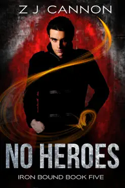 no heroes book cover image