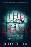 The Diary synopsis, comments