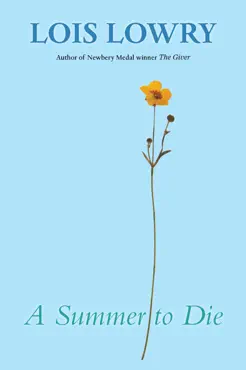 a summer to die book cover image