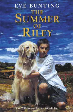the summer of riley book cover image