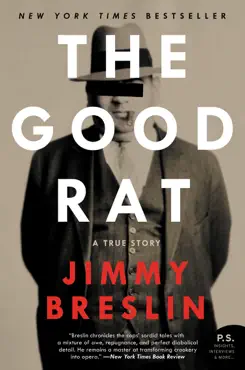 the good rat book cover image