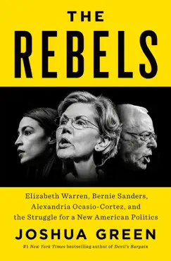the rebels book cover image