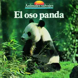 el oso panda imagen de la portada del libro