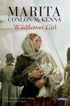 wildflower girl book cover image