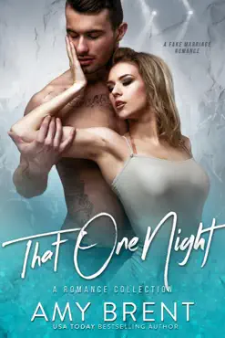 that one night book cover image