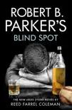 Robert B. Parker's Blind Spot sinopsis y comentarios