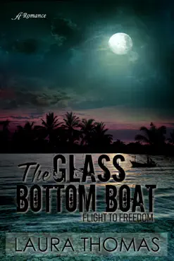the glass bottom boat book cover image
