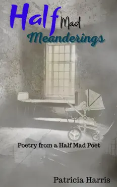 half-mad meanderings book cover image