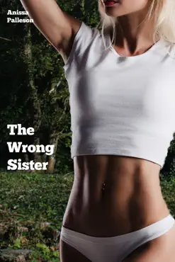 the wrong sister book cover image