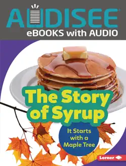the story of syrup book cover image