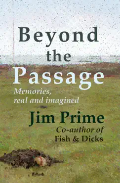 beyond the passage book cover image