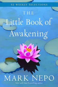 the little book of awakening imagen de la portada del libro