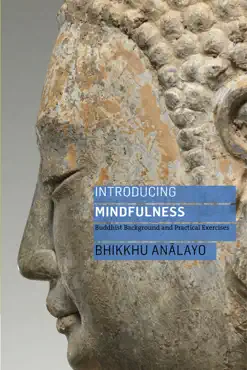 introducing mindfulness book cover image