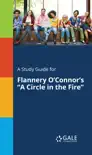 A Study Guide for Flannery O'Connor's "A Circle in the Fire" sinopsis y comentarios