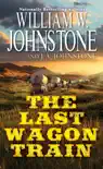 The Last Wagon Train synopsis, comments