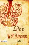 Life Is a Dream sinopsis y comentarios