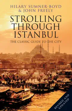 strolling through istanbul book cover image