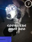 Cooba the Mage Dog- witch school project synopsis, comments
