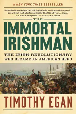 the immortal irishman book cover image