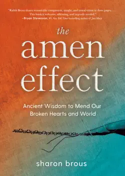 the amen effect book cover image