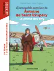 L'incroyable destin d'Antoine de Saint-Exupéry, le prince des airs sinopsis y comentarios