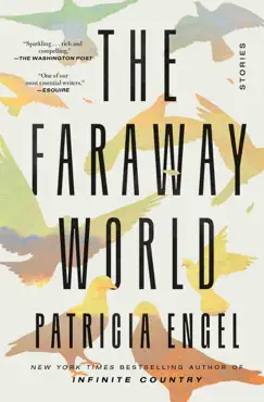 the faraway world book cover image