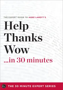 help, thanks, wow in 30 minutes book cover image