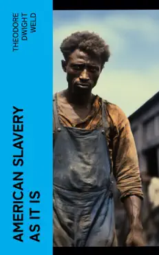 american slavery as it is book cover image
