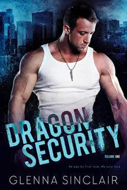 dragon security: complete volume one book cover image