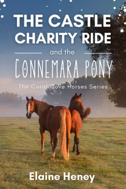 the castle charity ride and the connemara pony - the coral cove horses series book cover image