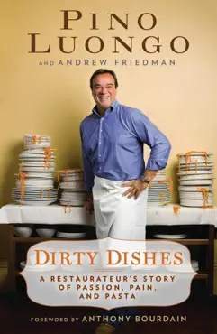 dirty dishes book cover image
