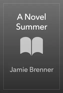 a novel summer book cover image
