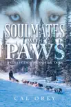 Soulmates with Paws synopsis, comments